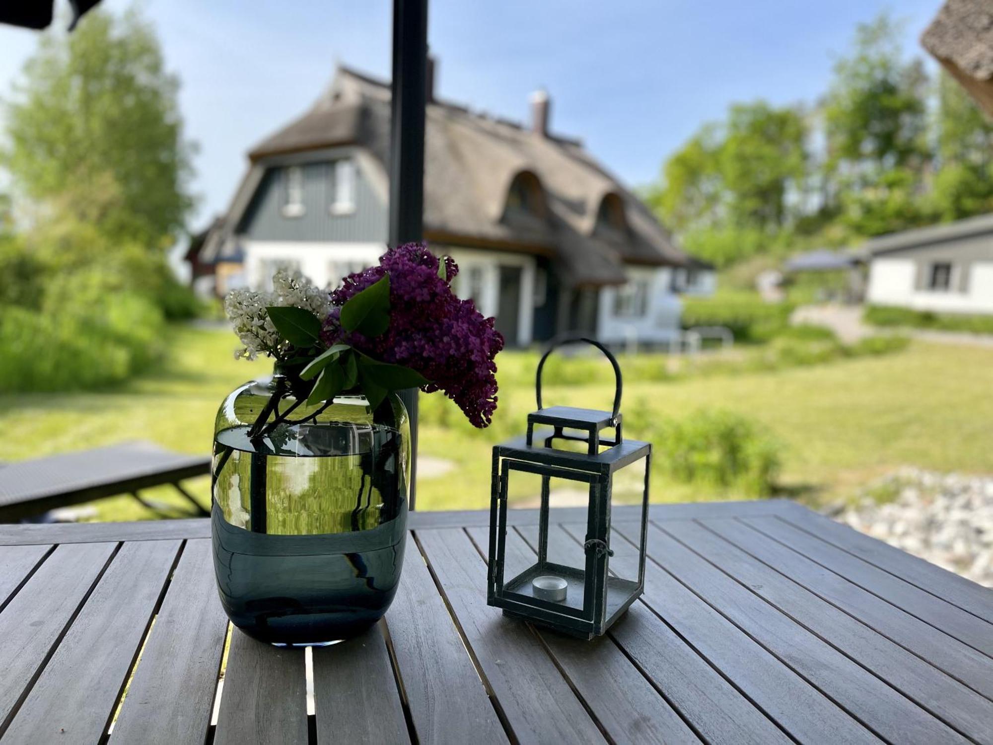 Ferienhaus Strandflieder 05 Feriendorf Klein Stresow Ruegen By Ruyastay Putbus Dış mekan fotoğraf