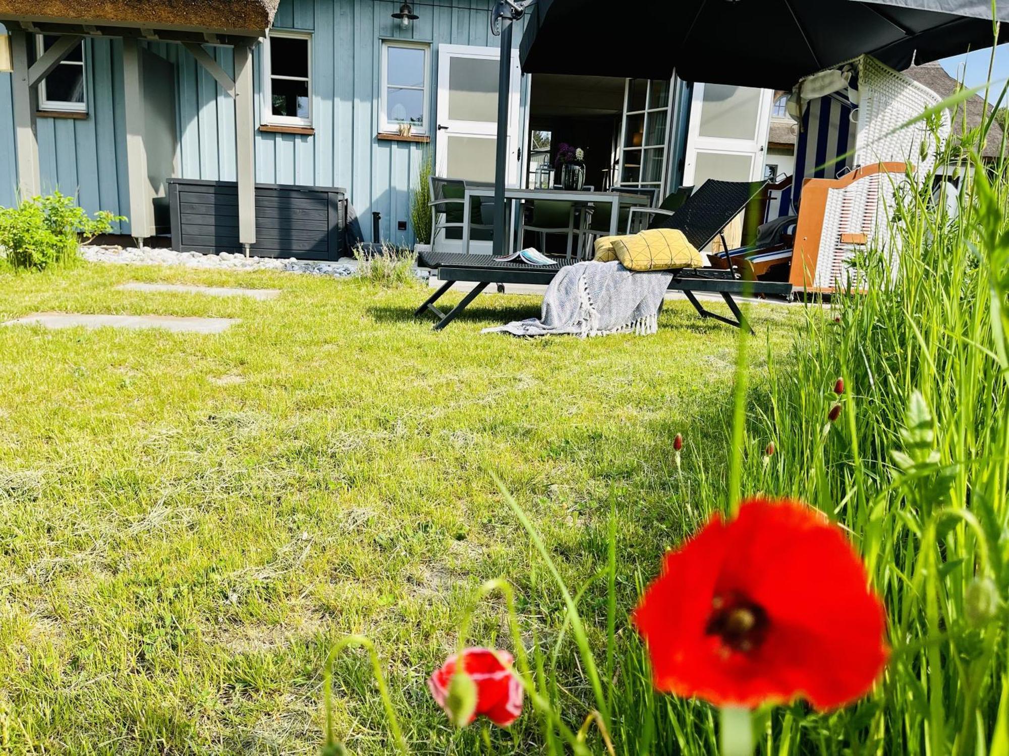 Ferienhaus Strandflieder 05 Feriendorf Klein Stresow Ruegen By Ruyastay Putbus Dış mekan fotoğraf